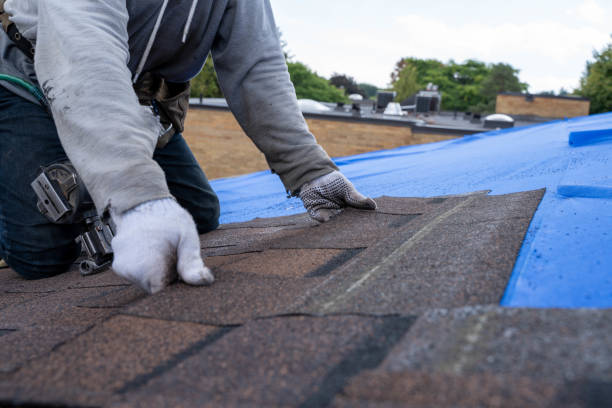 Best Metal Roofing Contractor  in Little Cypress, TX