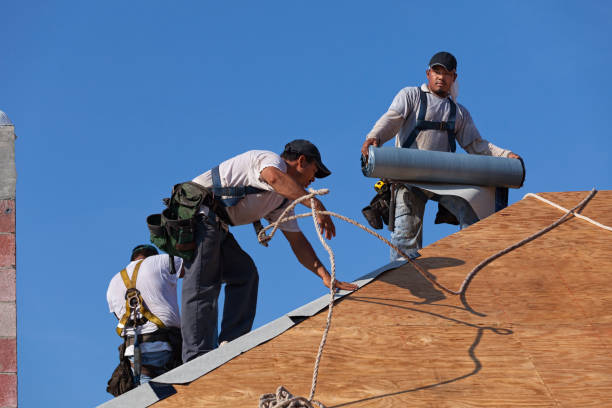 Best Roof Restoration Services  in Little Cypress, TX
